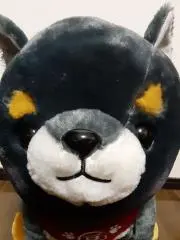 スミノフの画像