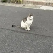日常の画像