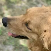 はこの画像