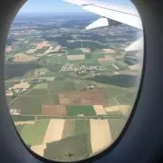 おすぎの画像