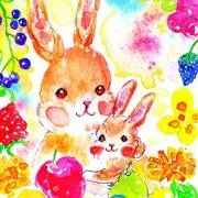 アイリスの画像