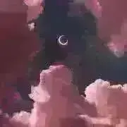 a4 即購入/無言取引歓迎の画像