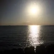 みつおの画像