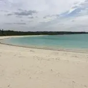 ルルの画像
