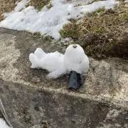 DDDの画像