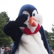 おもちの画像