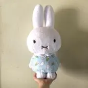 しまうまの画像