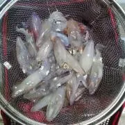 ヒイカ