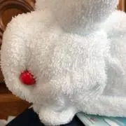 しろうさぎの画像