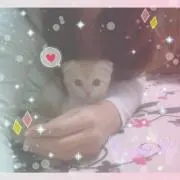みるみるの画像