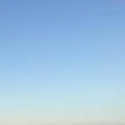 子ぶたママ