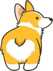 コギ犬
