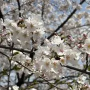 ⭐︎358⭐︎の画像