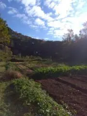 sho1rooの画像