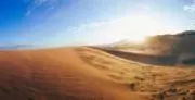 pikeの画像