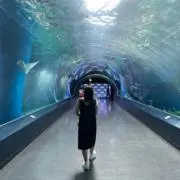 みにむ