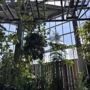mの画像
