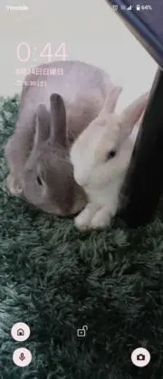 みつの画像