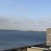 ハナ♡の画像