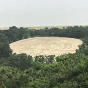 TTの画像