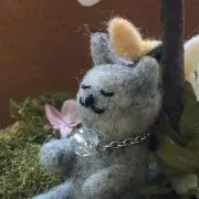 はなの画像
