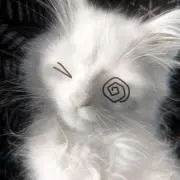 ju.の画像