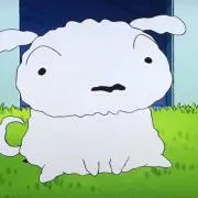 しろたんの画像