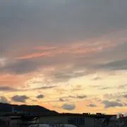 ネクスの画像