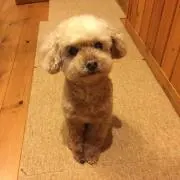 まるまるの画像