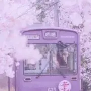 はちの画像