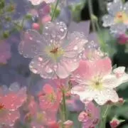 ai【即購入・無言取引️⭕️】の画像
