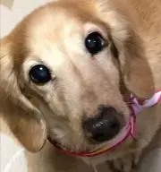 ❣️なおりんショップ❣️