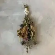 streamの画像