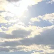 rの画像