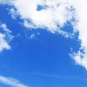 yの画像
