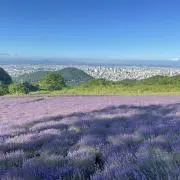 オンドルセクの画像