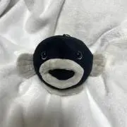 Gokkoの画像