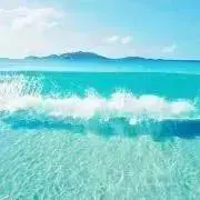 トイの画像