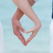 TEの画像