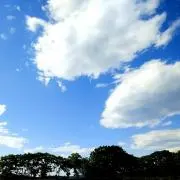 AYMの画像