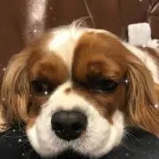 断捨離中