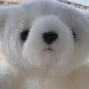 しろくまの画像
