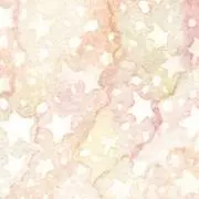 sakurairoの画像