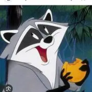 ミーコの画像