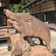 ヨットマン