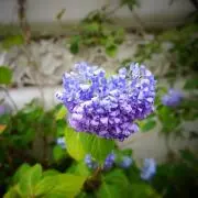 T&Aの画像