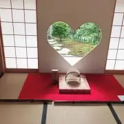 ゆきねの画像