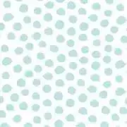 HAPPA 断捨離中