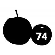 74