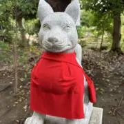 こんちゃんの画像